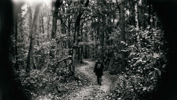 Person walking on a narrow dirt path in a forest with dense trees and foliage.