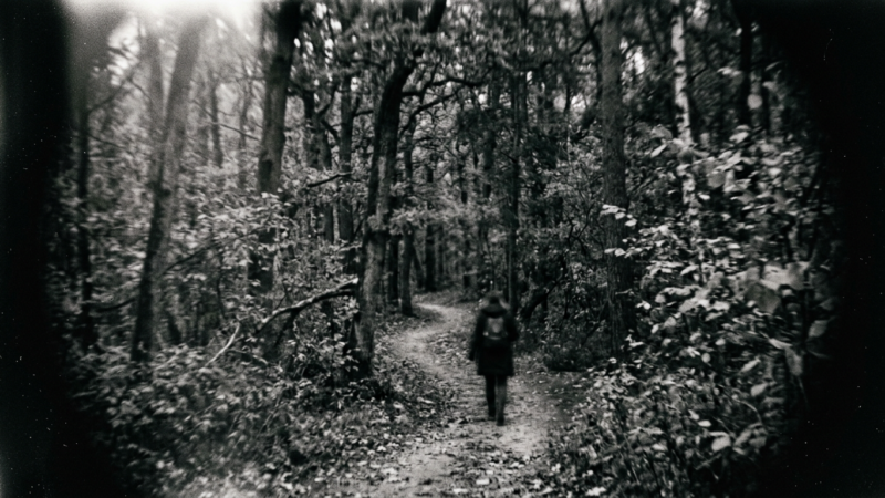 Person walking on a narrow dirt path in a forest with dense trees and foliage.